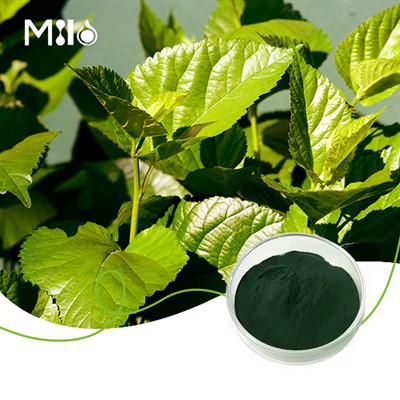 پودر کلروفیلین مس سدیم